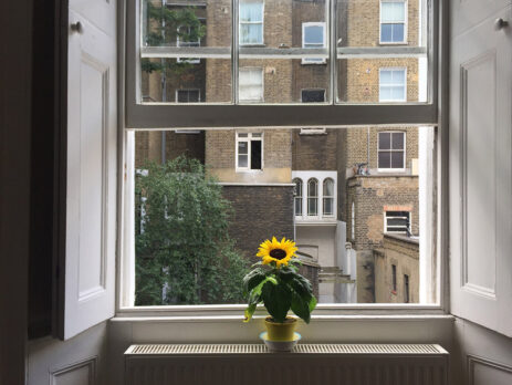 How Do Sash Windows Work