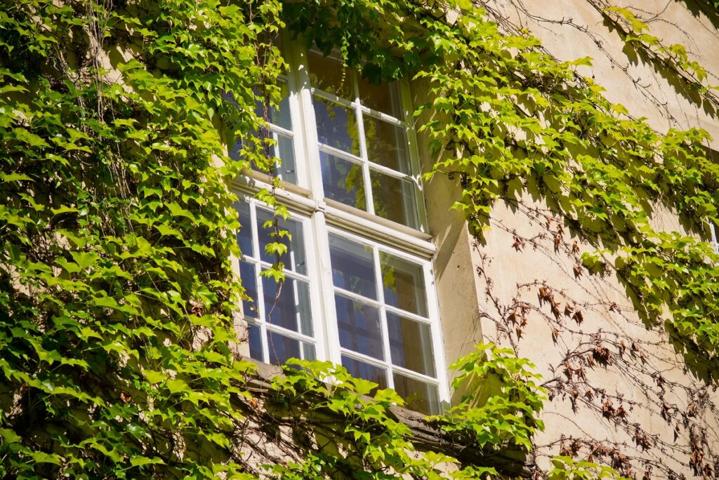 How to Choose the Right Sash Window Company for Your Home