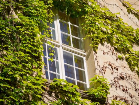 How to Choose the Right Sash Window Company for Your Home